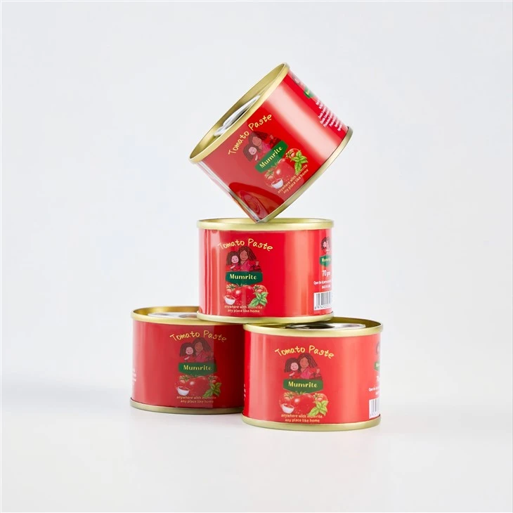 Hard Open Canned Tomato Paste high quality
